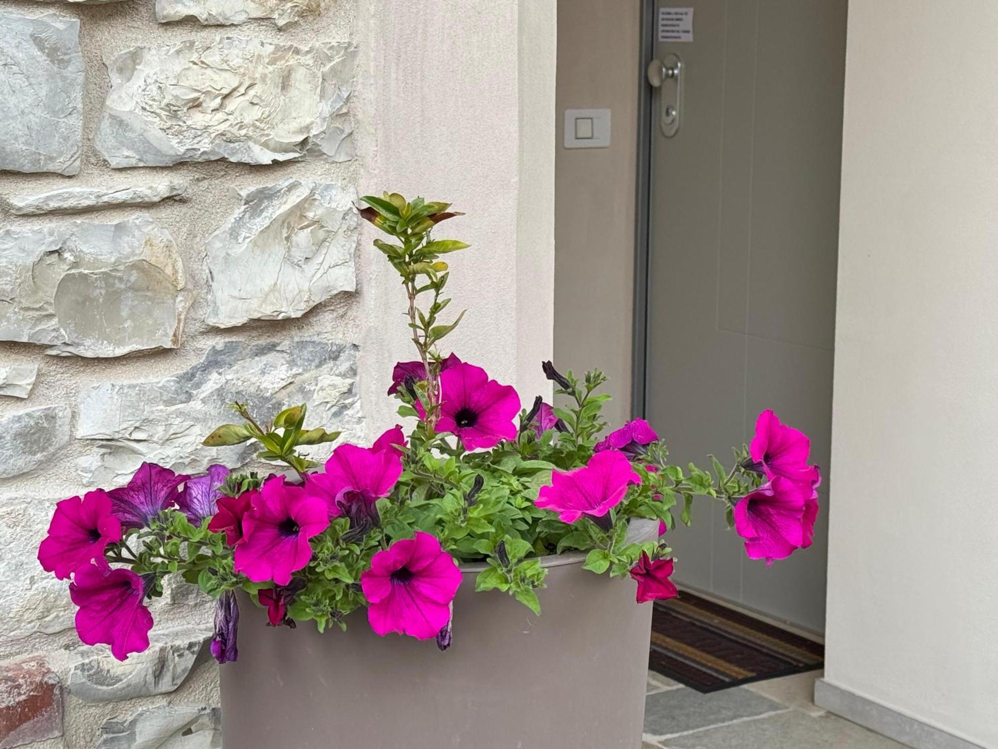 Via Roma 34 Apartment Castiglione del Lago Exterior photo